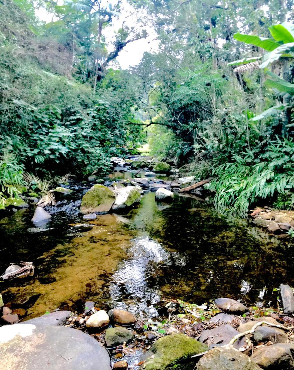 Petrópolis Fachoalto Budget Bed & Breakfast エクステリア 写真